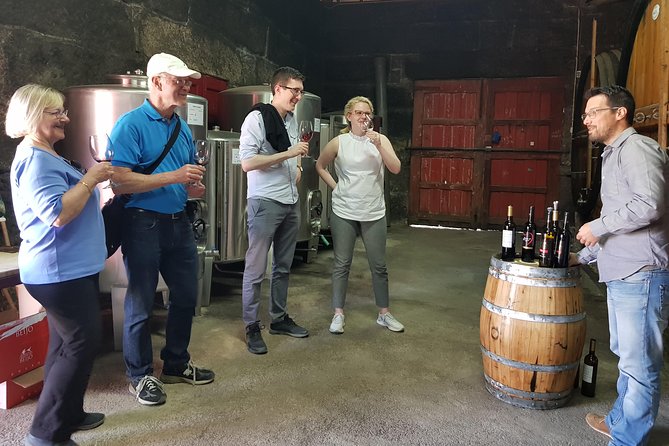 Douro Valley Wine Tour: 3 Vineyard Visits, Wine Tastings, Lunch - Pinhão views before a late lunch