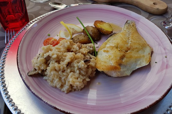 Douro Valley Wine Tour: 3 Vineyard Visits, Wine Tastings, Lunch - Lamego and the first family winery