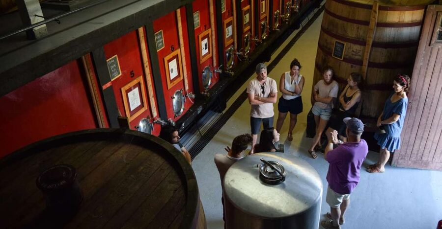 Douro Valley: Winery Tour at Quinta do Tedo and Tastings - Arriving at Quinta do Tedo above two rivers