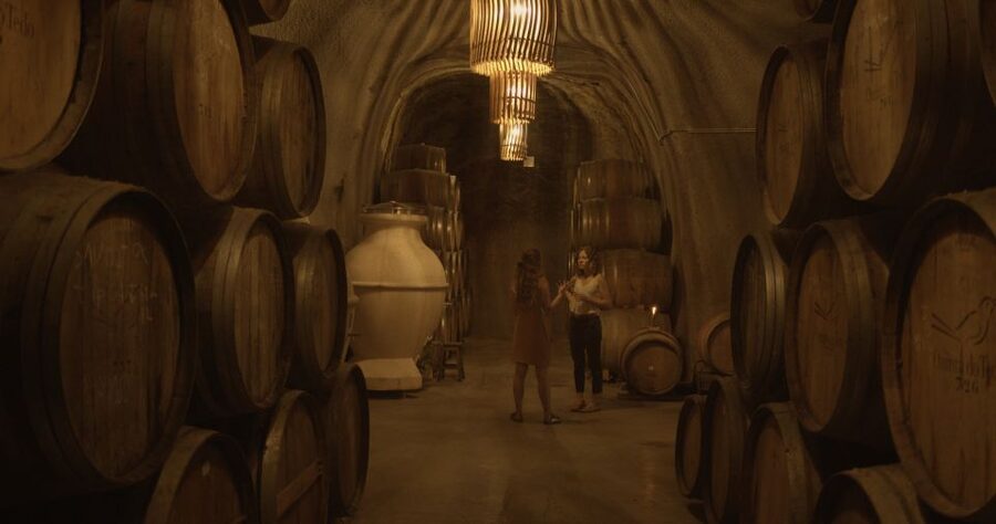 Douro Valley: Winery Tour at Quinta do Tedo and Tastings - A five-minute stop for bottles and gifts