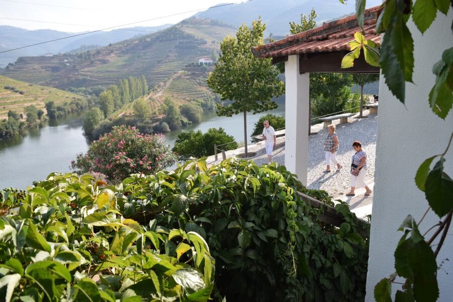 Douro Valley: Winery Tour at Quinta do Tedo and Tastings - Who will enjoy this visit most?