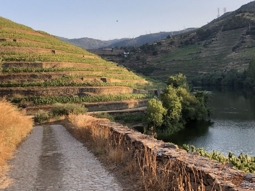 Douro Valley: Winery Tour at Quinta do Tedo and Tastings - Planning the visit without a rushed start
