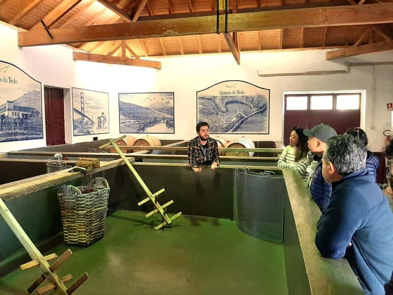 Douro Valley: Winery, Traditional Lunch & Private Boat Trip - Key points at a glance