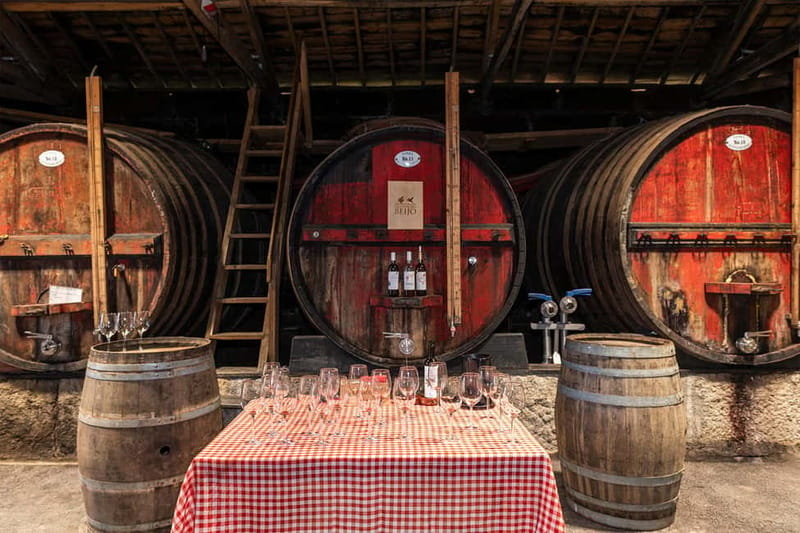 Douro Valley: Winery, Traditional Lunch & Private Boat Trip - The Douro River by small private boat