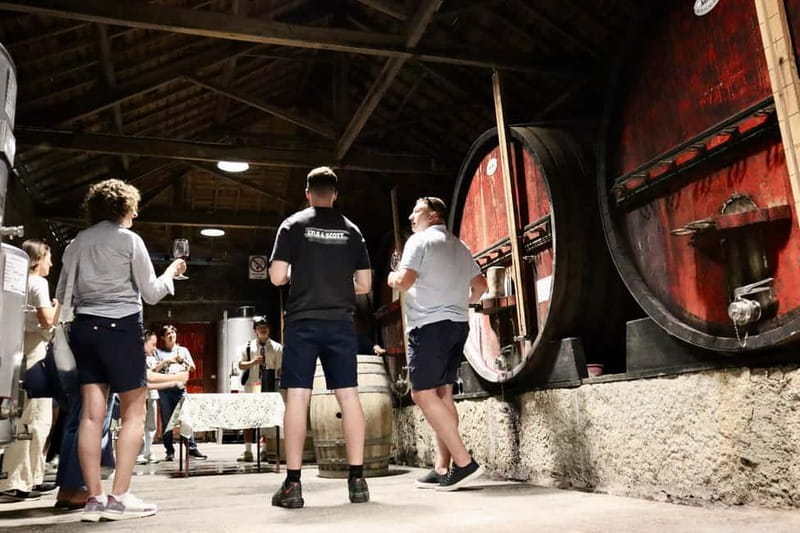 Douro Valley: Winery, Traditional Lunch & Private Boat Trip - Is $223 good value?