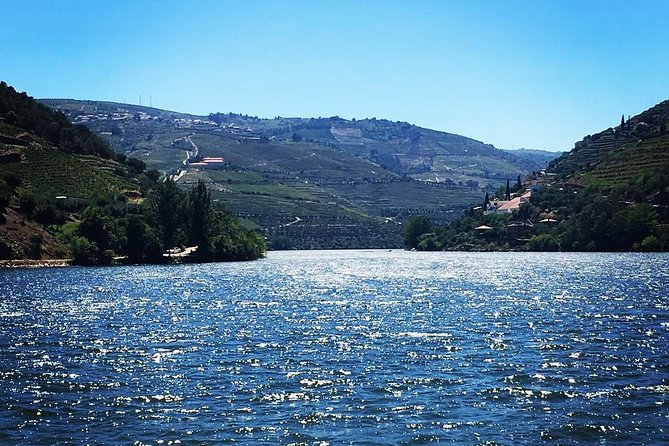Douro Valley with Two Winery, Boat Trip and Lunch From Porto - A Portuguese lunch near Tabuaço