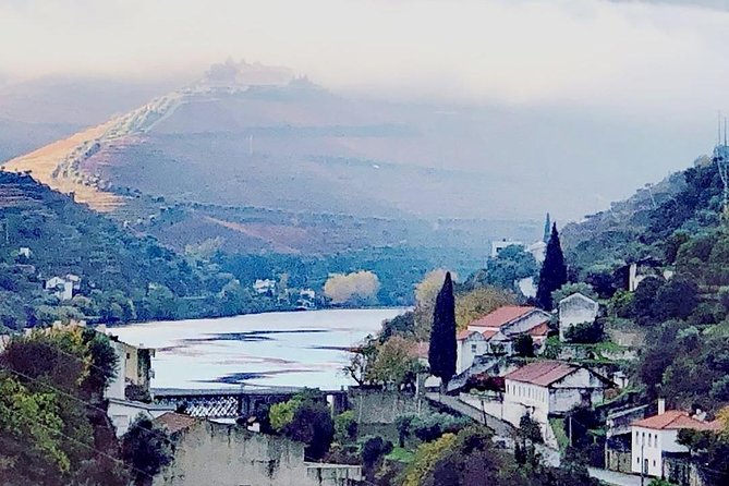 Douro Valley with Two Winery, Boat Trip and Lunch From Porto - The 50-minute rabelo boat ride