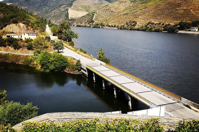 Douro Valley with Two Winery, Boat Trip and Lunch From Porto - A small producer with more than wine