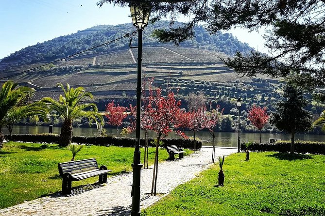 Douro Valley with Two Winery, Boat Trip and Lunch From Porto - The return drive and the real pace of the day