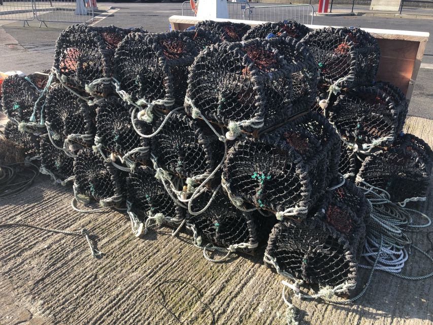 Dublin: Howth Coastal Craft Beer and Seafood Tour - Looking for seals around Howth Harbour