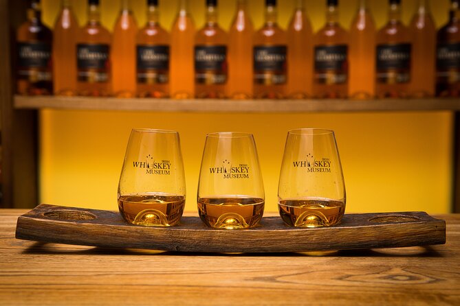 Dublin Irish Whiskey Museum and Gallery Guided Tour with Tasting - Who should book this experience?