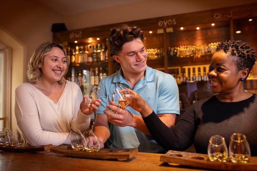 Dublin: Irish Whiskey Museum Tour and Whiskey Tasting - Key points to know before you go