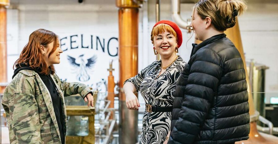 Dublin: Teeling Whiskey Distillery Tour & Tasting - Key points to know before you go
