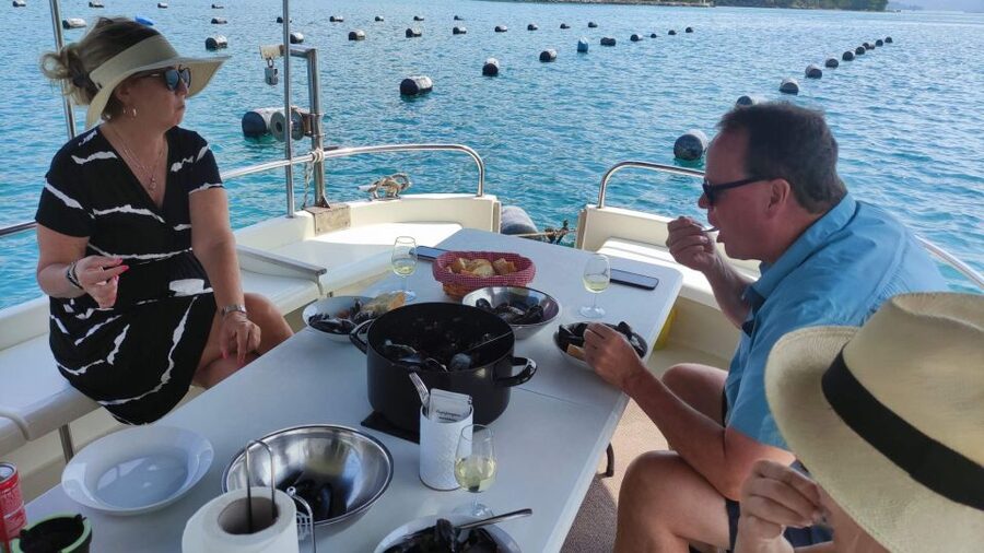 Dubrovnik: Oyster, Mussles, and Wine Tasting Tour in Ston - From Dubrovnik to Ston by air-conditioned van