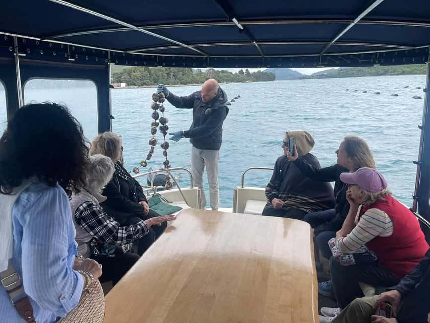 Dubrovnik: Oyster, Mussles, and Wine Tasting Tour in Ston - A Pelješac winery with regional character