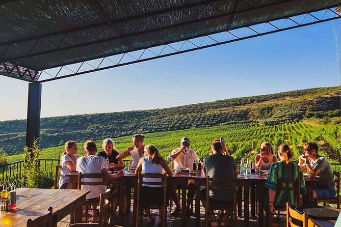 Durrës Countryside Vineyard Experience with Wine & Food Pairing - Walking the vineyard and seeing the property