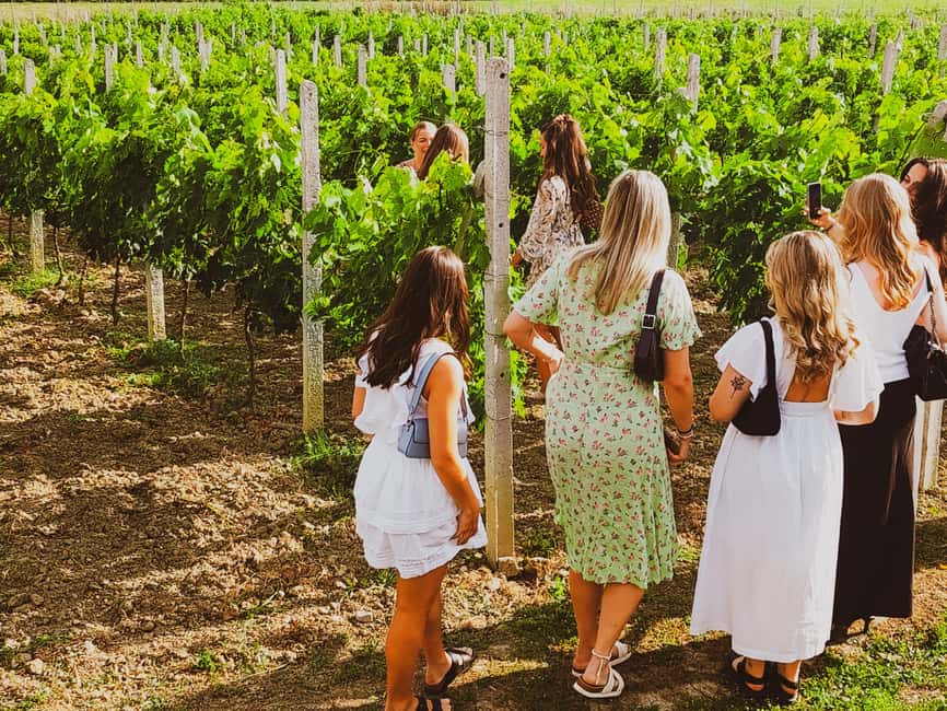 Durres Countryside Vineyards Wine Tasting & Food Pairing - Albanian grapes in the tasting glass
