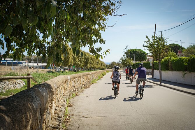 Ebike Tour, Winery, Wine Tasting & Sailing Experience(car option) - Two hours in Alella’s wine country