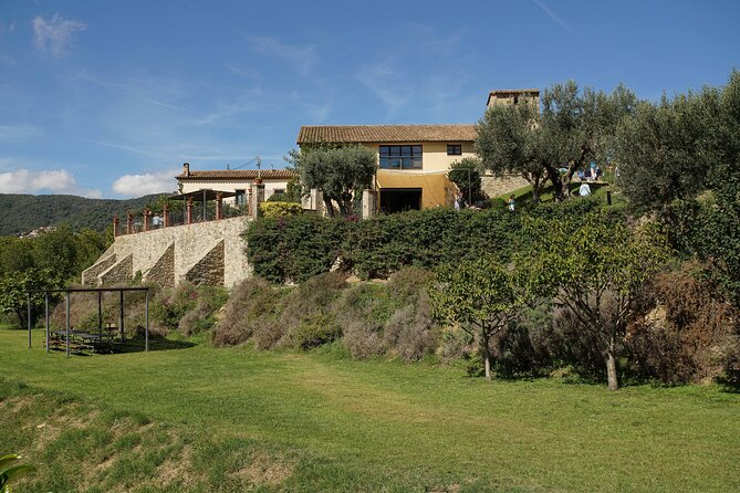 Ebike Tour, Winery, Wine Tasting & Sailing Experience(car option) - What you eat and drink