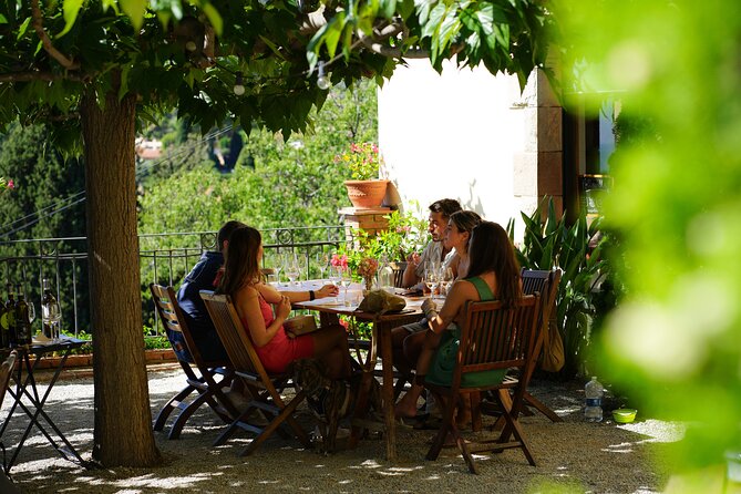 Ebike Tour, Winery, Wine Tasting & Sailing Experience(car option) - Starting at Port Olímpic