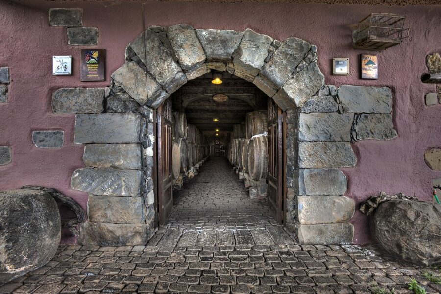 El Sauzal: Winery Tour and Mojo Sauce Workshop - Why the Mojo Workshop Is the Heart of the Visit