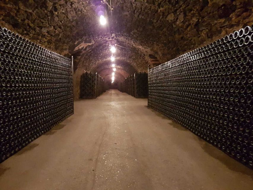 Epernay: Guided Tour of Champagne Cellar with Tastings - A good contrast with the grand Epernay names
