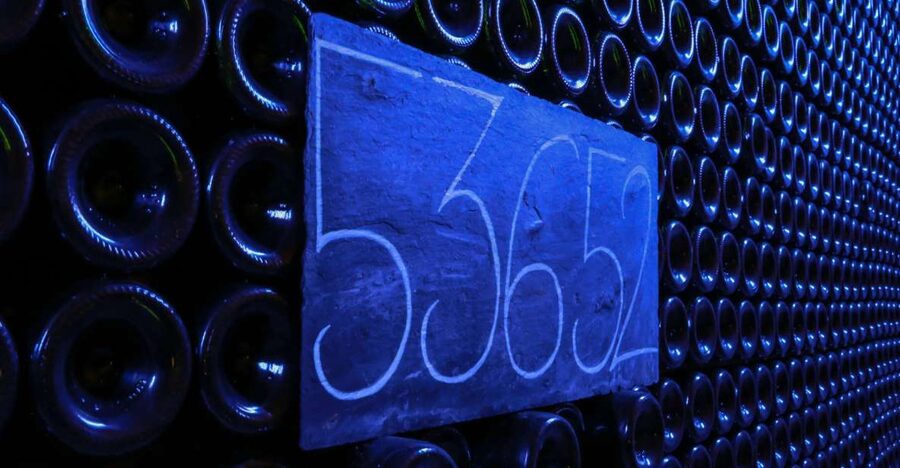 Epernay: Winery and Cellar Tour with Champagne Tasting - Who will get the most from this visit