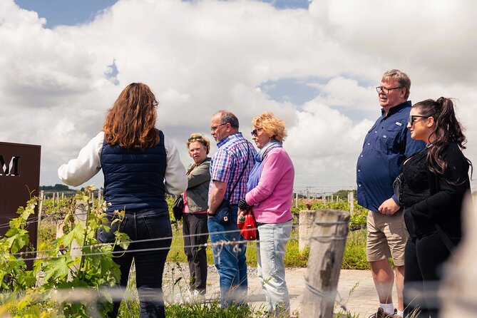 Essential Wine Tour with Tasting & Chateau Visits from Bordeaux - Médoc, Margaux, or Pessac-Léognan?