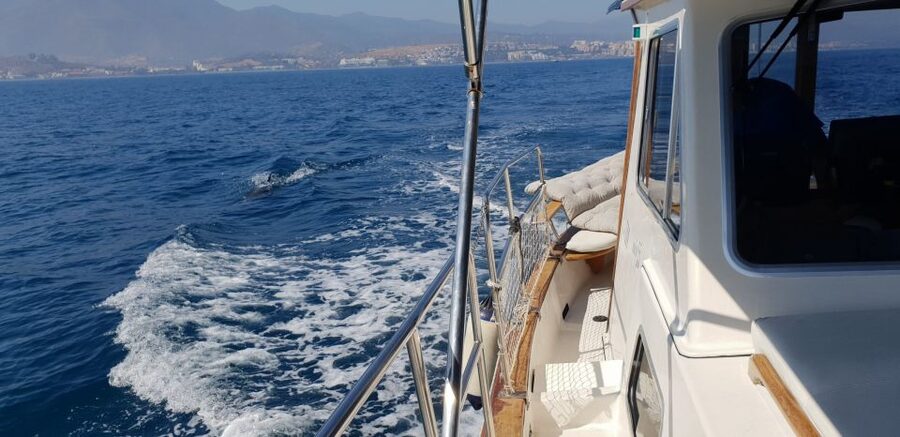 Estepona: Sunset boat trip & Cava & Tapa - Should you book the Estepona sunset boat trip?
