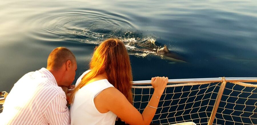 Estepona: Sunset boat trip & Cava & Tapa - A possible swim in Costa del Sol waters