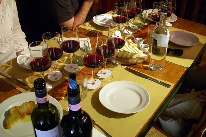 Etna Tour and Lunch in a Winery with Wine Tasting - Why this Etna outing works as a full-day plan