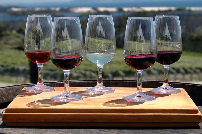 Etna Tour and Lunch in a Winery with Wine Tasting - Private vehicle, public attractions, and the crowd question
