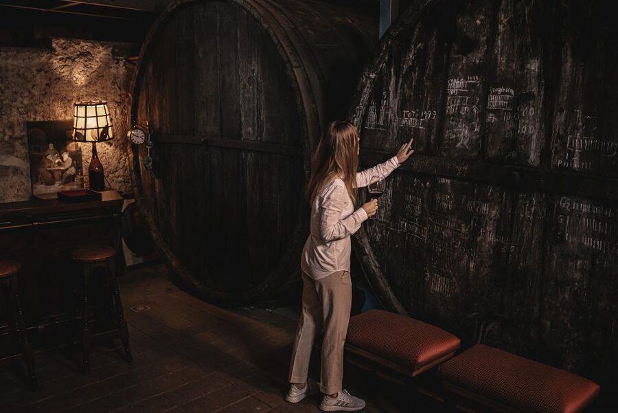 Etna Urban Winery, Vineyard Walk & Sunset Tasting Dinner - Key points at a glance