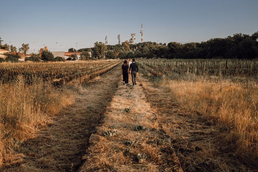 Etna Urban Winery, Vineyard Walk & Sunset Tasting Dinner - Inside the 1790 palmento
