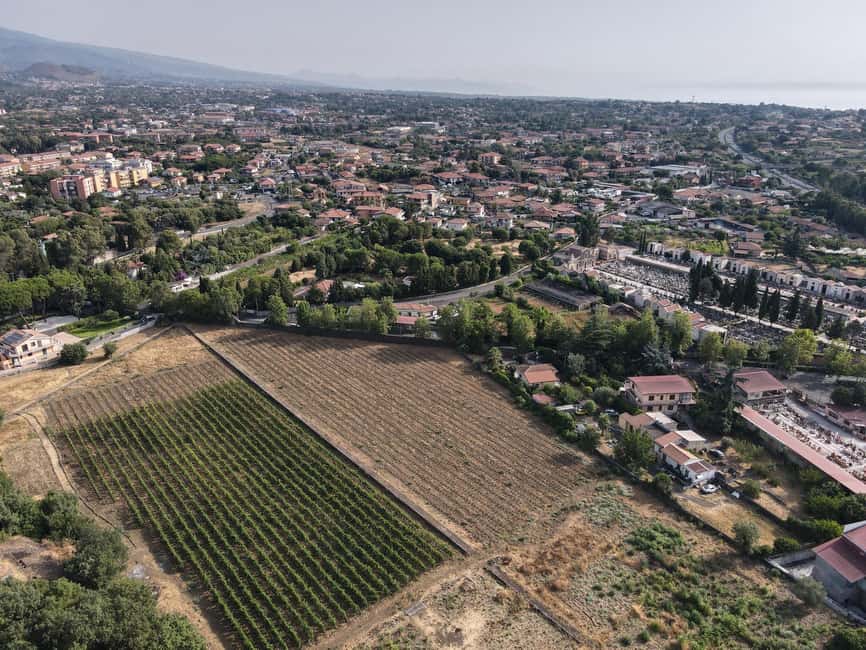 Etna Urban Winery, Vineyard Walk & Sunset Tasting Dinner - Dinner is more than a tasting snack