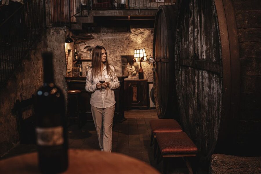 Etna Urban Winery, Vineyard Walk & Sunset Tasting Dinner - Following the vineyard trail between Catania and Etna