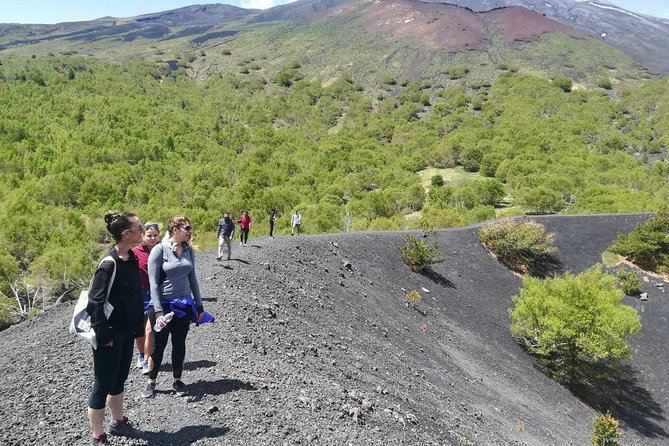Etna, Wine and Alcantara Tour - From Taormina - Walking the Monti Sartorius craters