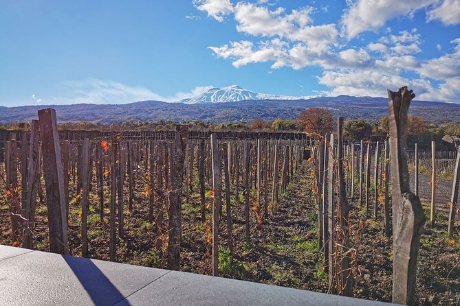 Etna Wine and Alcantara with lunch - Why this Etna day trip works so well