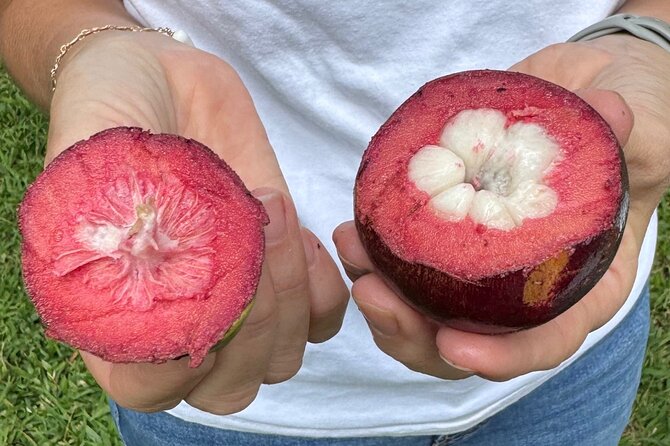 Exotic Fruit Tasting Tour in Kona - Key points to know before booking