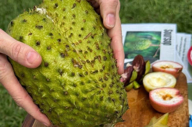 Exotic Fruit Tasting Tour in Kona - Why the farm setting matters, and where it falls short
