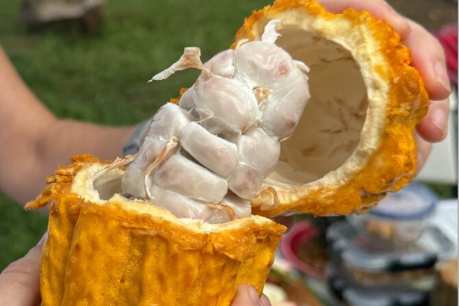 Exotic Fruit Tasting Tour in Kona - Who will enjoy this most?