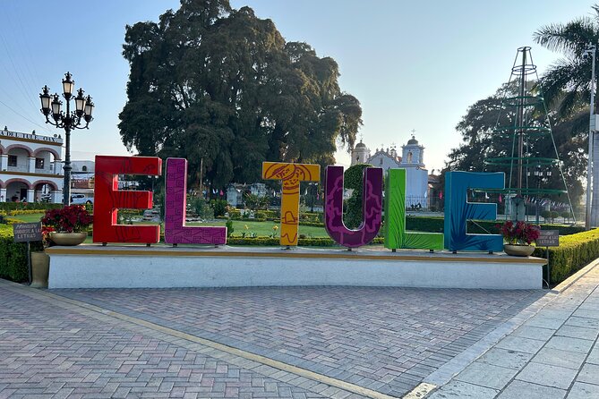 Explore Hierve el Agua, Mitla, Tule, Textile and Mezcal for a day - The Tule tree and a quick look at Santa María del Tule