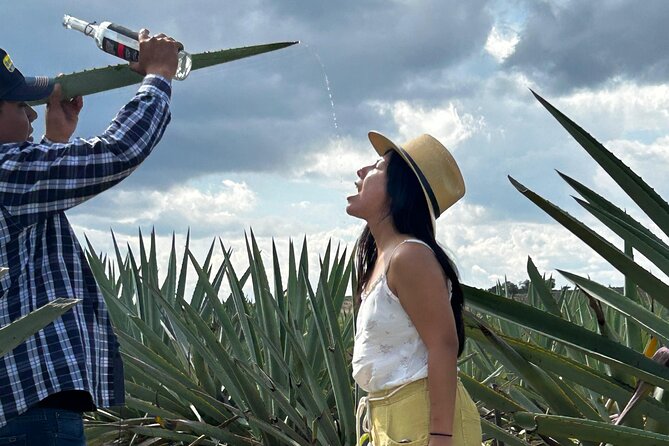 Explore Hierve el Agua, Mitla, Tule, Textile and Mezcal for a day - Is the $75.12 price good value?
