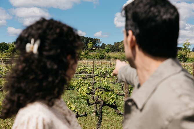 Familia Torres Winery: Gastronomic Tapas & Wine Experience - Four wines, four different ways to taste