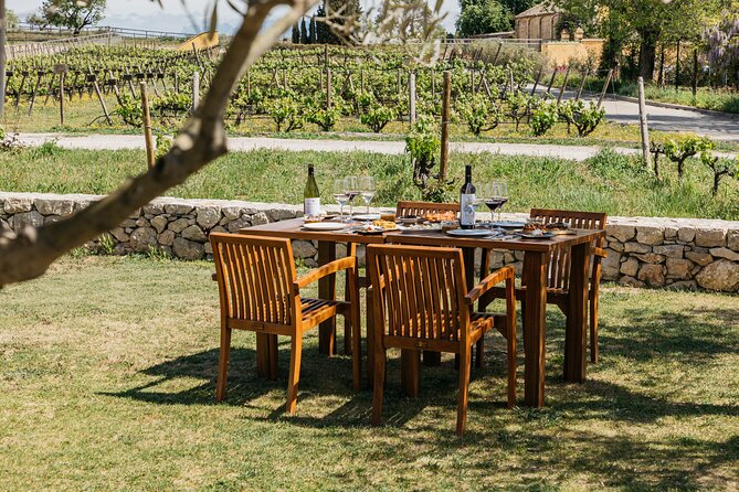 Familia Torres Winery: Gastronomic Tapas & Wine Experience - Free time in the shop