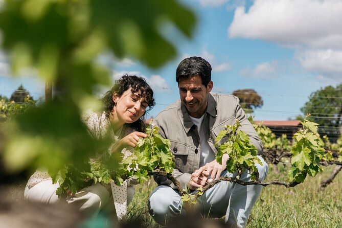 Familia Torres Winery: Gastronomic Tapas & Wine Experience - The Waltraud winery and Torres family story