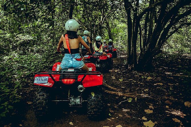 Family ATV Cenote Five Zip Lines Photos Taco Lunch Tequila Taste - A tequila tasting with an artistic angle