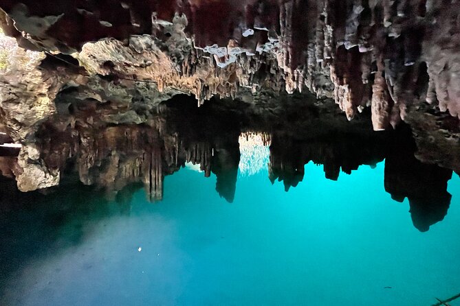 Family ATV Cenote Five Zip Lines Photos Taco Lunch Tequila Taste - Photos, videos, and the value question
