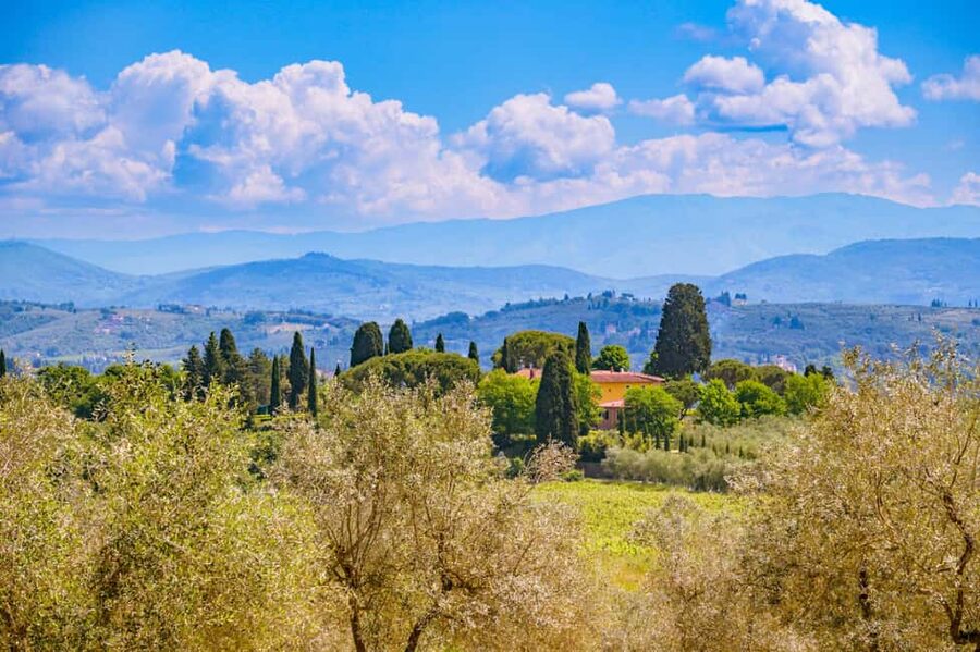 Florence: Chianti E-Bike Tour with Lunch & Two Wine Tastings - Why this Chianti ride is worth six hours