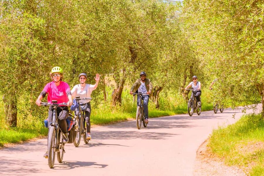 Florence: Chianti E-Bike Tour with Lunch & Two Wine Tastings - Is the $116 price good value?